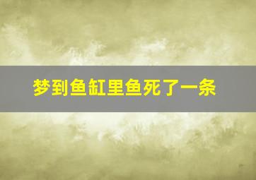 梦到鱼缸里鱼死了一条