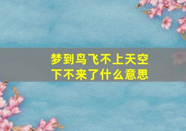 梦到鸟飞不上天空下不来了什么意思