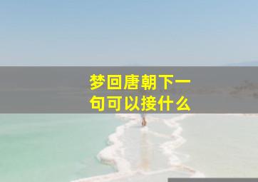 梦回唐朝下一句可以接什么