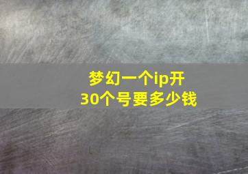 梦幻一个ip开30个号要多少钱