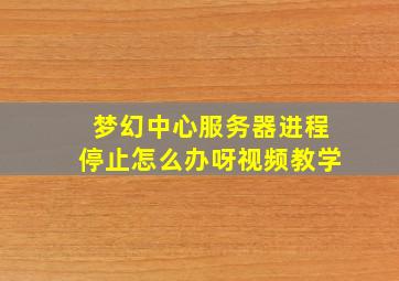 梦幻中心服务器进程停止怎么办呀视频教学