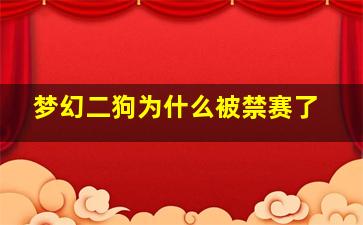 梦幻二狗为什么被禁赛了