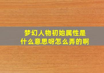 梦幻人物初始属性是什么意思呀怎么弄的啊