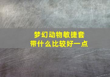 梦幻动物敏捷套带什么比较好一点