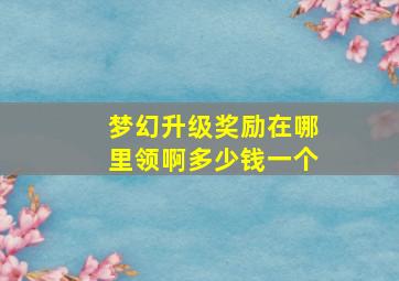 梦幻升级奖励在哪里领啊多少钱一个