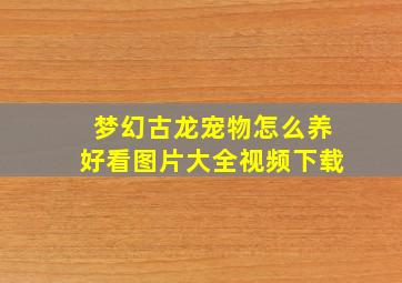 梦幻古龙宠物怎么养好看图片大全视频下载