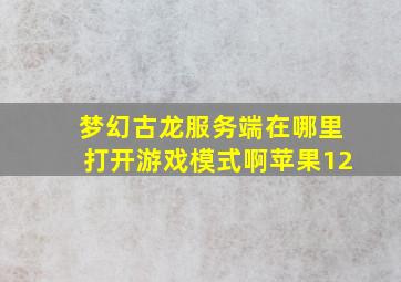 梦幻古龙服务端在哪里打开游戏模式啊苹果12