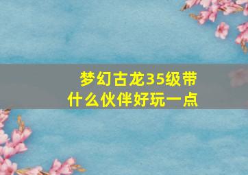 梦幻古龙35级带什么伙伴好玩一点