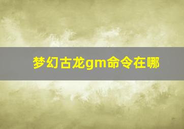 梦幻古龙gm命令在哪