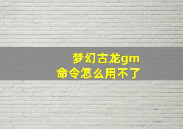 梦幻古龙gm命令怎么用不了