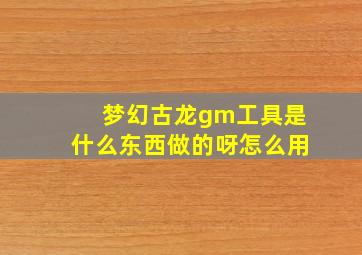 梦幻古龙gm工具是什么东西做的呀怎么用