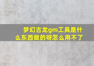 梦幻古龙gm工具是什么东西做的呀怎么用不了