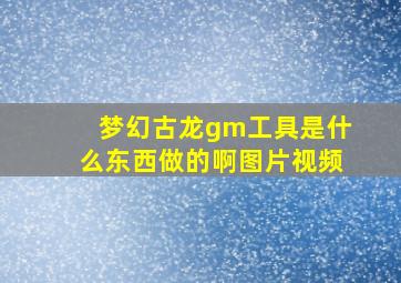 梦幻古龙gm工具是什么东西做的啊图片视频