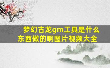 梦幻古龙gm工具是什么东西做的啊图片视频大全