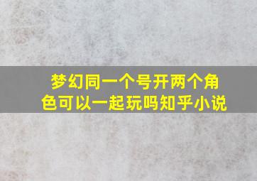 梦幻同一个号开两个角色可以一起玩吗知乎小说