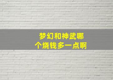 梦幻和神武哪个烧钱多一点啊