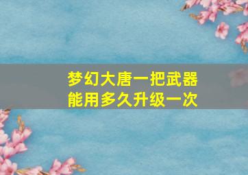 梦幻大唐一把武器能用多久升级一次