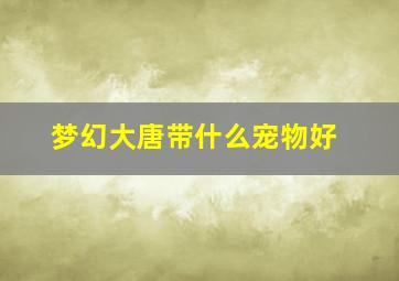 梦幻大唐带什么宠物好