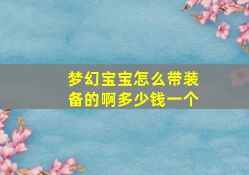 梦幻宝宝怎么带装备的啊多少钱一个