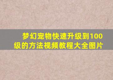 梦幻宠物快速升级到100级的方法视频教程大全图片