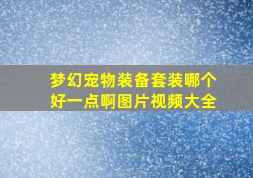 梦幻宠物装备套装哪个好一点啊图片视频大全