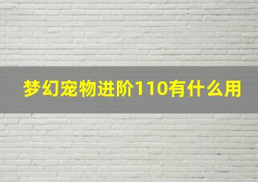 梦幻宠物进阶110有什么用