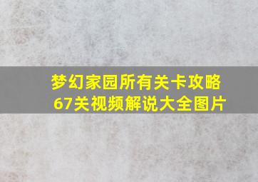 梦幻家园所有关卡攻略67关视频解说大全图片