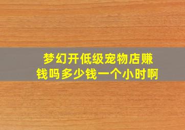 梦幻开低级宠物店赚钱吗多少钱一个小时啊