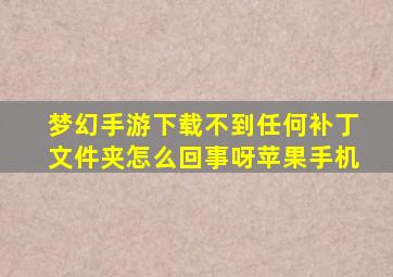 梦幻手游下载不到任何补丁文件夹怎么回事呀苹果手机