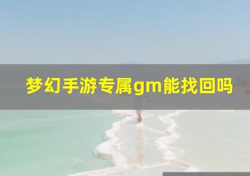 梦幻手游专属gm能找回吗