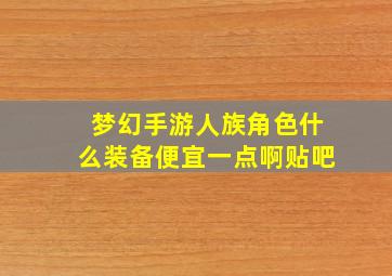 梦幻手游人族角色什么装备便宜一点啊贴吧