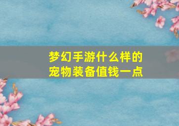 梦幻手游什么样的宠物装备值钱一点