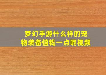 梦幻手游什么样的宠物装备值钱一点呢视频