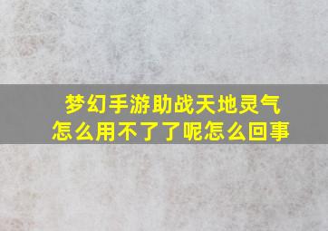 梦幻手游助战天地灵气怎么用不了了呢怎么回事