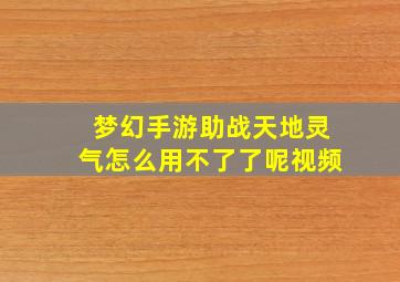 梦幻手游助战天地灵气怎么用不了了呢视频