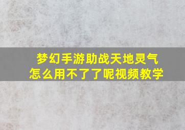 梦幻手游助战天地灵气怎么用不了了呢视频教学