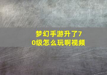 梦幻手游升了70级怎么玩啊视频