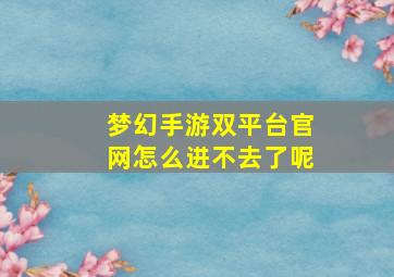 梦幻手游双平台官网怎么进不去了呢