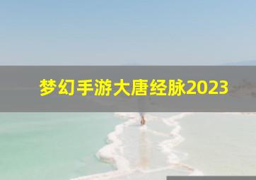 梦幻手游大唐经脉2023