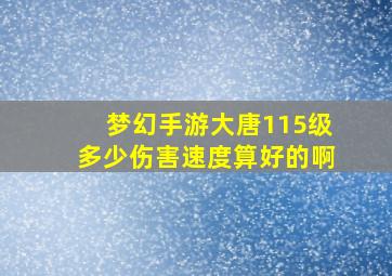 梦幻手游大唐115级多少伤害速度算好的啊