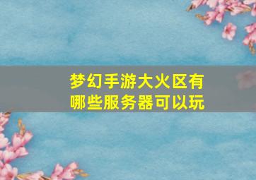 梦幻手游大火区有哪些服务器可以玩