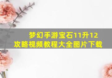 梦幻手游宝石11升12攻略视频教程大全图片下载