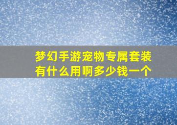 梦幻手游宠物专属套装有什么用啊多少钱一个