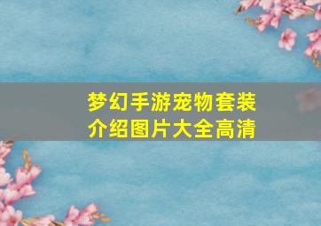 梦幻手游宠物套装介绍图片大全高清