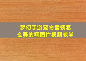 梦幻手游宠物套装怎么弄的啊图片视频教学