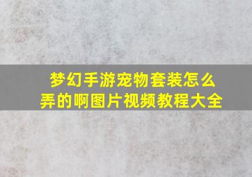 梦幻手游宠物套装怎么弄的啊图片视频教程大全