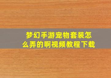 梦幻手游宠物套装怎么弄的啊视频教程下载