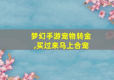 梦幻手游宠物转金,买过来马上合宠