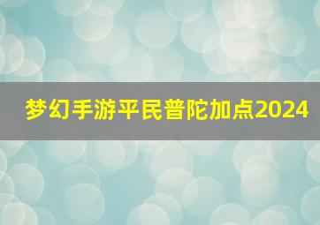 梦幻手游平民普陀加点2024