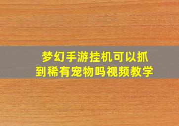 梦幻手游挂机可以抓到稀有宠物吗视频教学